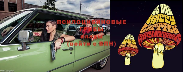 ГАЛЛЮЦИНОГЕННЫЕ ГРИБЫ Баксан